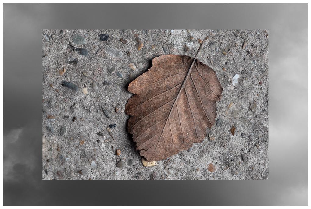 Composition Leaf And Clouds