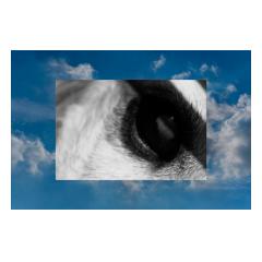 Eye In The Sky - Tony Vierstra Photography